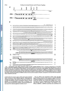 File:Page3-270px-Sugimoto J Biol Chem 1993.pdf.jpg