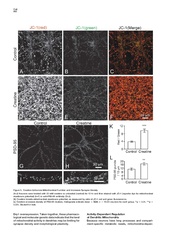 File:Page10-180px-Li Cell.pdf.jpg