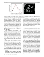 File:Page12-180px-Nolan J Am Chem Soc.pdf.jpg