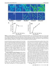 File:Page11-180px-Nolan J Am Chem Soc.pdf.jpg