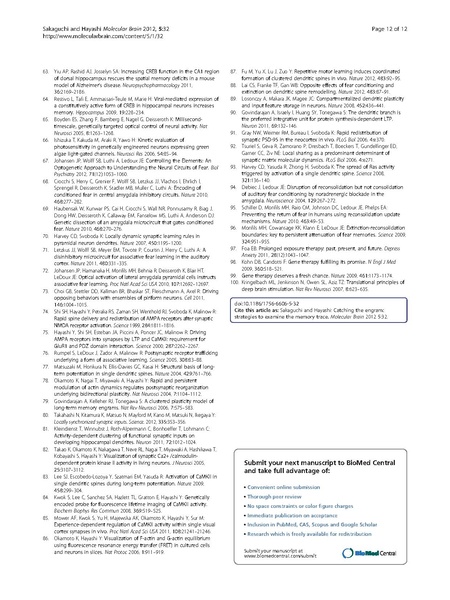 File:Page12-450px-Sakaguchi Mol Brain.pdf.jpg