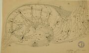 File:180px-Cajal Hippocampus.jpg