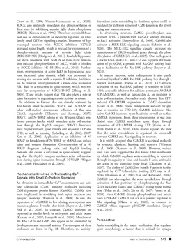 File:Page5-270px-Saneyoshi Cytoskeleton.pdf.jpg
