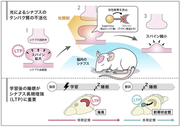 File:180px-Goto Press Release Fig0.png