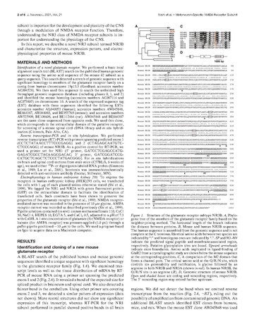 File:Page2-360px-Nishi J Neurosci 2001.pdf.jpg
