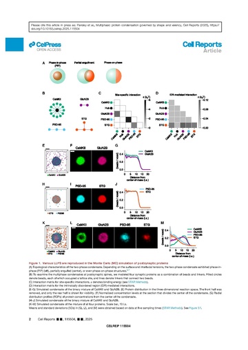 File:Page2-360px-Vikas Cell Rep 2025.pdf.jpg