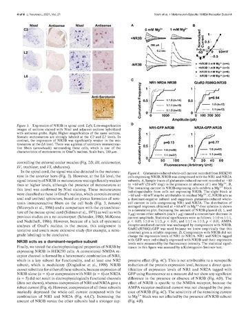 File:Page4-360px-Nishi J Neurosci 2001.pdf.jpg