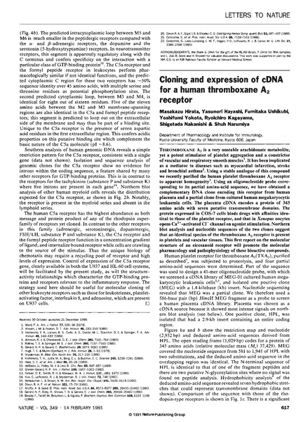 File:20250323102632!Hirata Nature.pdf