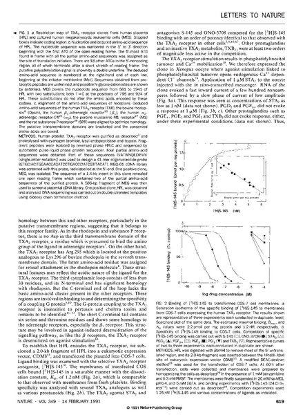File:20250323102632!Hirata Nature.pdf