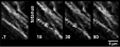 Thumbnail for version as of 06:17, 11 April 2026