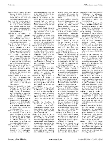 File:Page16-687px-Ueda Front Neural Circuits.pdf.jpg