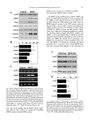 Thumbnail for version as of 06:17, 11 April 2026