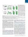 Thumbnail for version as of 06:18, 11 April 2026