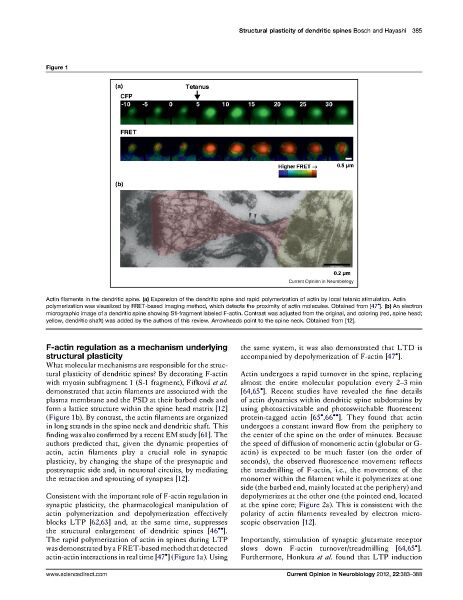 File:Page3-926px-Bosch Curr Opin Neurobiol.pdf.jpg
