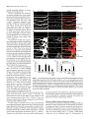 Thumbnail for version as of 06:17, 11 April 2026