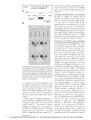 Thumbnail for version as of 06:17, 11 April 2026