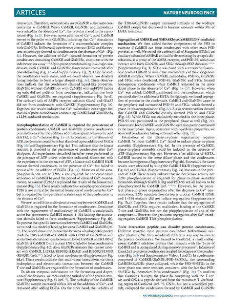 File:Hosokawa Nat Neurosci 2021.pdf