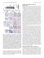 Thumbnail for version as of 06:17, 11 April 2026