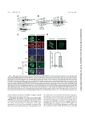 Thumbnail for version as of 06:17, 11 April 2026