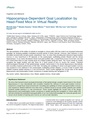 Thumbnail for version as of 06:17, 11 April 2026
