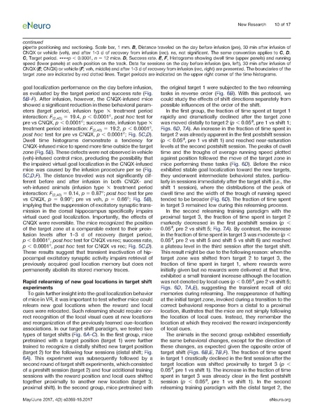 File:20250323102430!Sato eNeuro.pdf