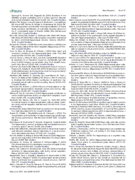 File:20250323102430!Sato eNeuro.pdf