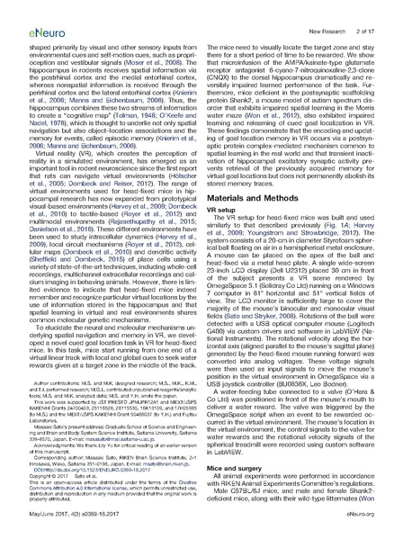 File:20250323102430!Sato eNeuro.pdf
