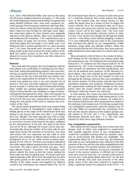 File:20250323102430!Sato eNeuro.pdf