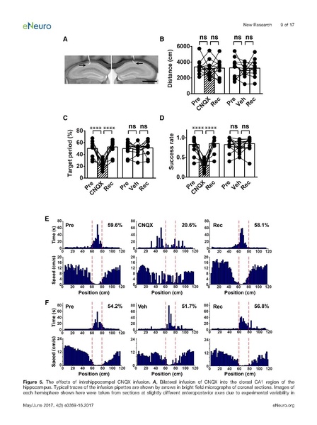 File:20250323102430!Sato eNeuro.pdf