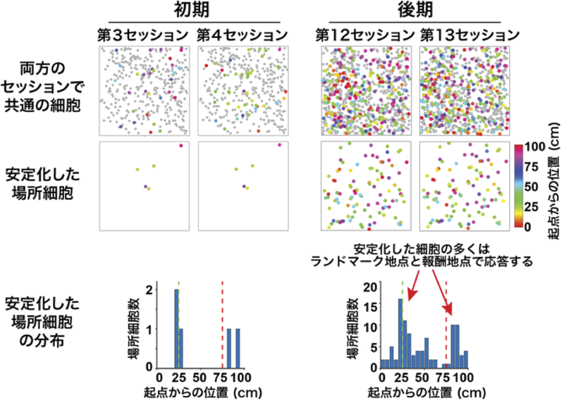 File:20250323102451!Sato Press Release Fig3.png