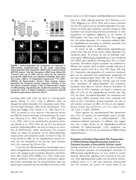 File:Page5-454px-Martinez-Lozada Glia.pdf.jpg