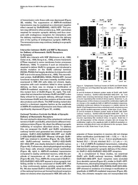 File:Page5-896px-Shi Cell.pdf.jpg