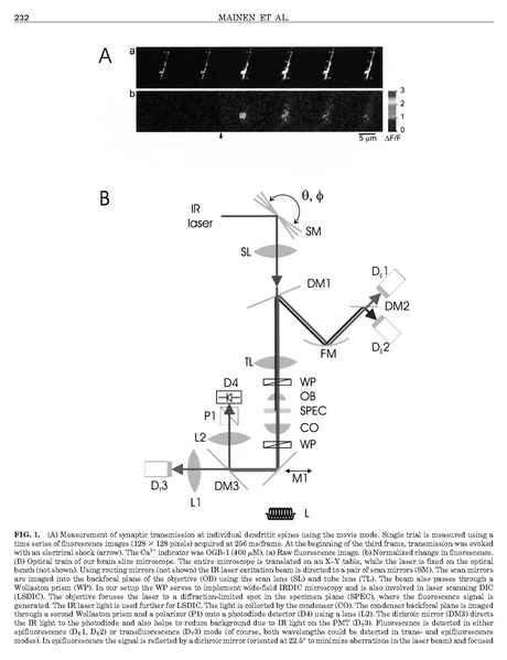 File:20250323102756!Mainen Methods.pdf