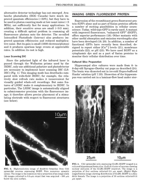 File:20250323102756!Mainen Methods.pdf