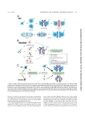 Thumbnail for version as of 06:17, 11 April 2026