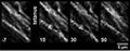 Thumbnail for version as of 06:17, 11 April 2026