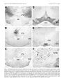 Thumbnail for version as of 06:17, 11 April 2026