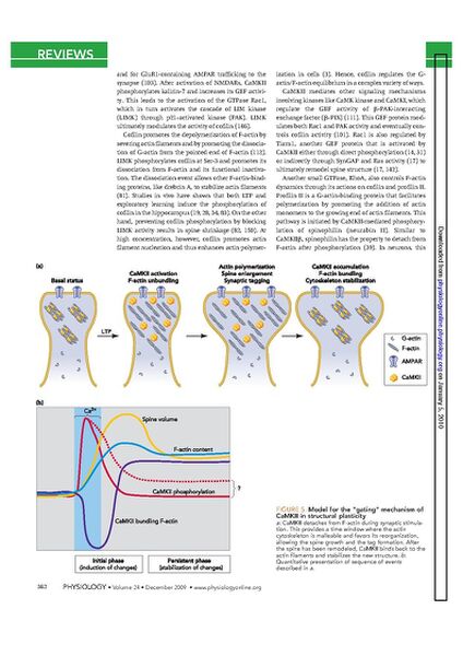File:Page6-635px-Okamoto Physiol.pdf.jpg