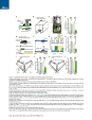 Thumbnail for version as of 06:18, 11 April 2026