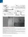 Thumbnail for version as of 06:17, 11 April 2026