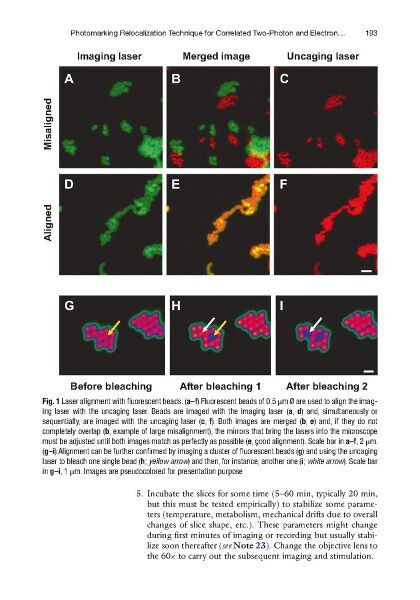 File:Page9-840px-Bosch Methods Mol Biol.pdf.jpg