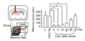 Thumbnail for version as of 06:18, 11 April 2026
