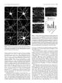 Thumbnail for version as of 06:17, 11 April 2026