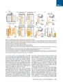 Thumbnail for version as of 06:18, 11 April 2026