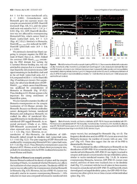 File:Page6-672px-Sala J Neurosci.pdf.jpg
