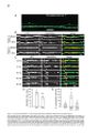 Thumbnail for version as of 06:17, 11 April 2026