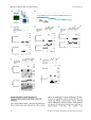 Thumbnail for version as of 06:18, 11 April 2026