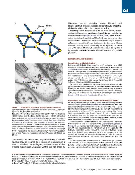 File:Page11-922px-Hayashi cell.pdf.jpg
