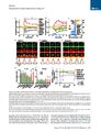 Thumbnail for version as of 06:18, 11 April 2026