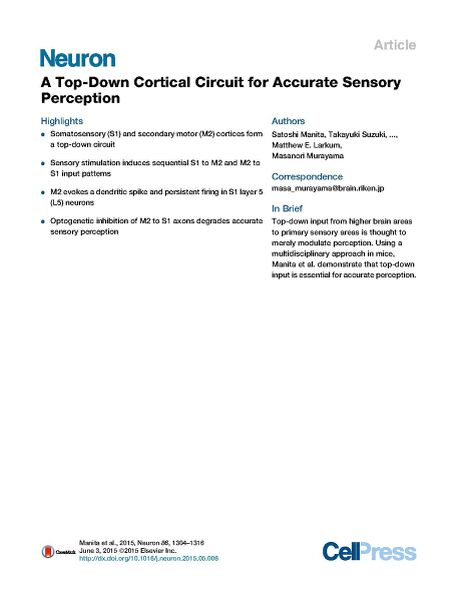 File:Page1-922px-Manita Neuron.pdf.jpg
